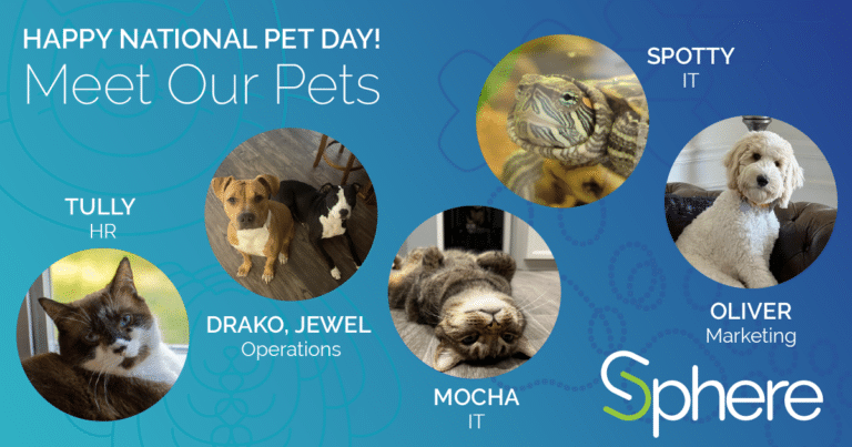 National Pet Day graphic titled "meet our pets" with photos of employees' cats and dogs